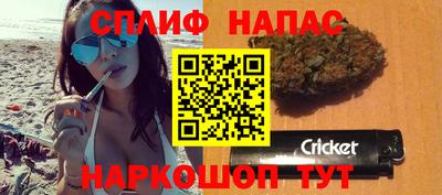 МДПВ Тара